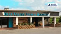 Blue valley - cover image.jpg